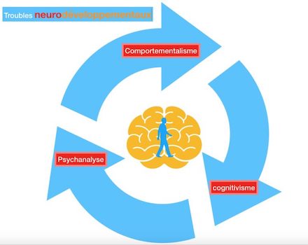 002 bases neurodeveloppement