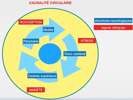 002 causalite circulaire 3