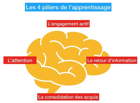 005 les piliers de lapprentissage