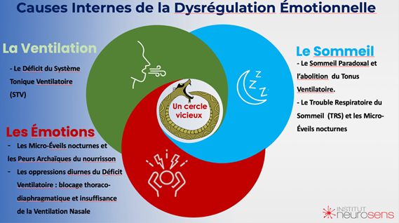 causes internes de la dysrégulation émotionnelle du TDAH