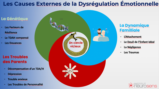 causes externes de la dysrégulation émotionnelle chez l'enfant TDAH