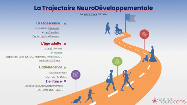 la trajectoire neurodéveloppementale : enfance, adolescence, âge adulte, sénescence